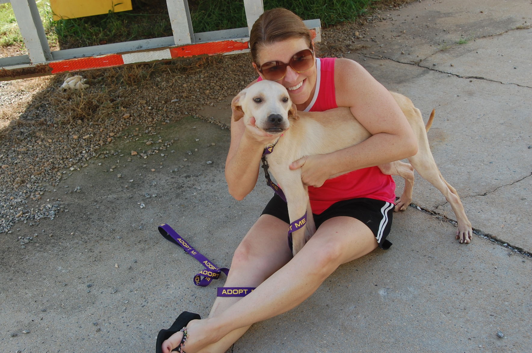 Piedmont animal rescue (12).JPG